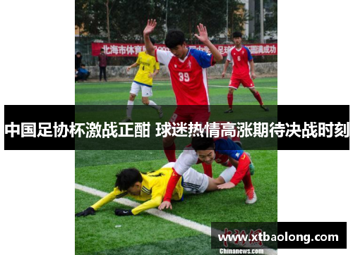 中国足协杯激战正酣 球迷热情高涨期待决战时刻