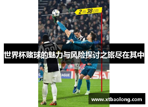 世界杯赌球的魅力与风险探讨之旅尽在其中