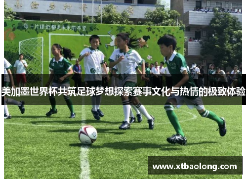 美加墨世界杯共筑足球梦想探索赛事文化与热情的极致体验