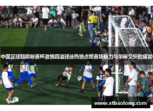 中国足球超级联赛杯激情四溢球迷热情点燃赛场魅力与荣耀交织的盛宴