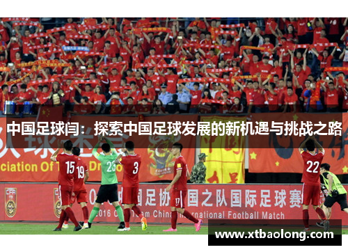 中国足球闫：探索中国足球发展的新机遇与挑战之路