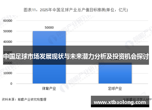 中国足球市场发展现状与未来潜力分析及投资机会探讨