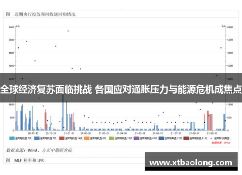 全球经济复苏面临挑战 各国应对通胀压力与能源危机成焦点