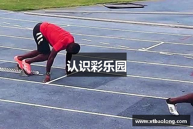 认识彩乐园